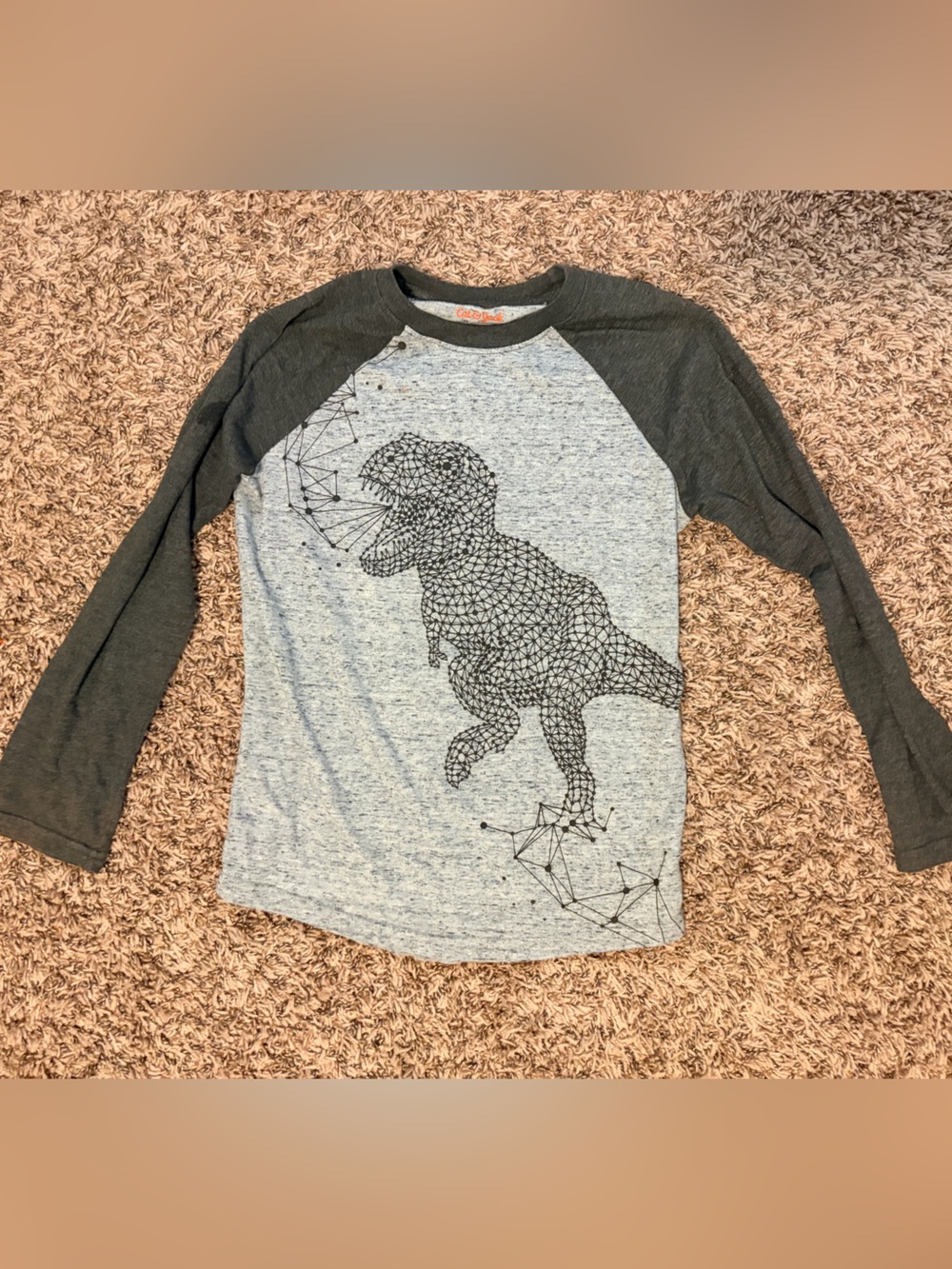 Cat & Jack Boys' Long Sleeve Raglan Tee in Gray and Charcoal with Geometric Dino